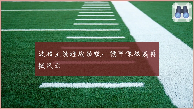 波鸿主场迎战劲敌，德甲保级战再掀风云