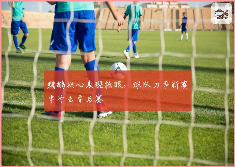 鹈鹕核心表现抢眼，球队力争新赛季冲击季后赛