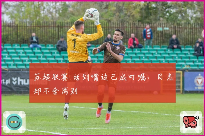 苏超联赛 话到嘴边已成叮嘱，目光却不舍离别