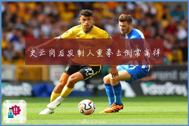 史云岗后发制人重拳击倒常高祥